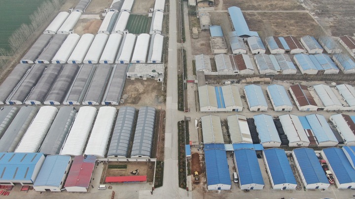 小鎮(zhèn)書記趙化錄——一名共產(chǎn)黨員的23年