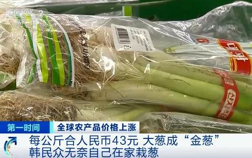 國際糧價暴漲，會影響中國人的“飯碗”嗎？