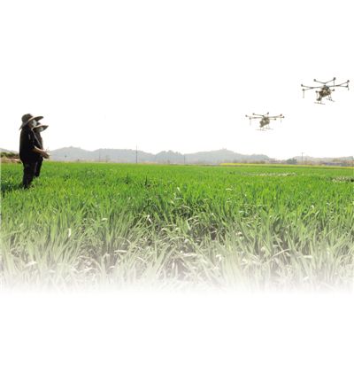 科學預防穩(wěn)產增產（田間地頭看春耕）