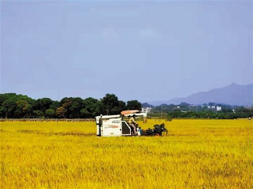 進(jìn)一步發(fā)揮農(nóng)業(yè)信貸擔(dān)保作用 河南12縣試點(diǎn)助推農(nóng)業(yè)高質(zhì)量發(fā)展