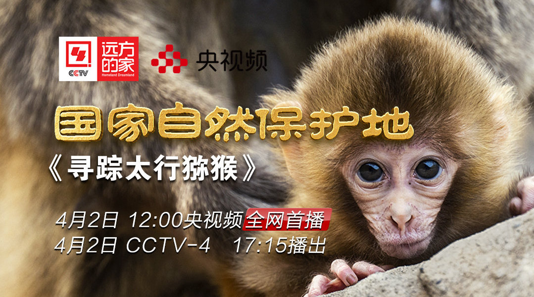 今天17:15分鎖定CCTV4！濟源登上央視《遠方的家》