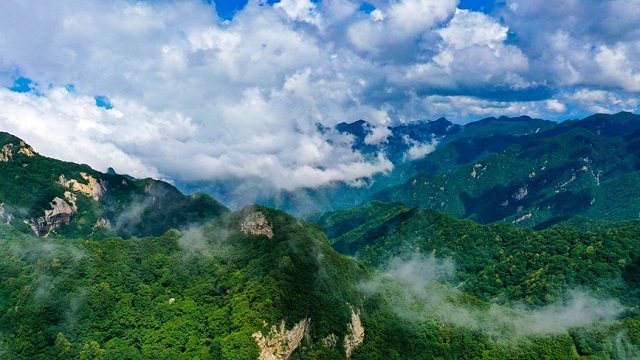 【沿著黃河看河南①】“中原之巔”煥新顏 ——河南小秦嶺礦山修復(fù)紀(jì)實(shí)