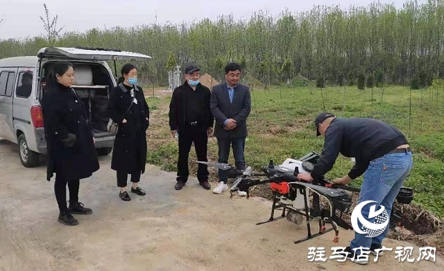 汝南縣古塔街道辦事處進(jìn)行小麥病蟲害無人機(jī)統(tǒng)防統(tǒng)治