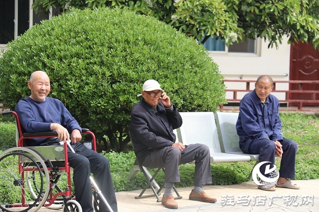 見證小康時代，讓殘疾人士活出精彩人生