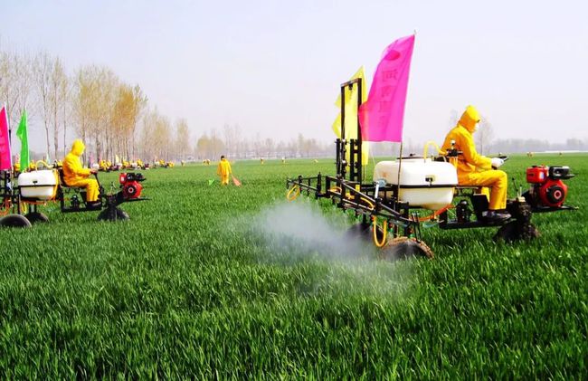 “雨神”駕到 拉響小麥赤霉病、條銹病防控警報(bào)