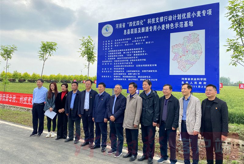 大家一起出謀劃策，河南要構(gòu)建小麥產(chǎn)業(yè)高質(zhì)量發(fā)展路線圖