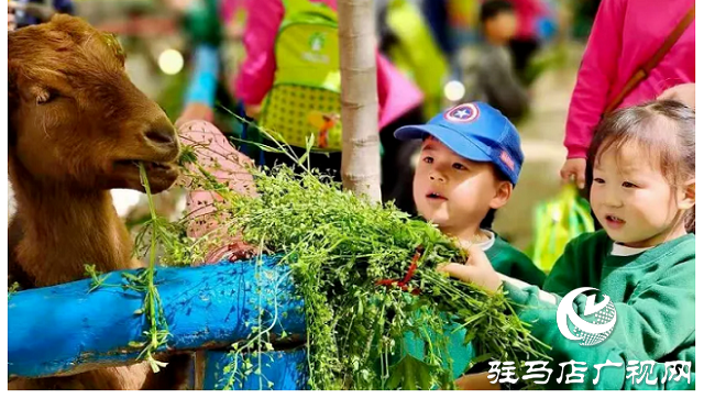 這個(gè)端午世外桃源門票免費(fèi)送！門票還包含水上樂園！