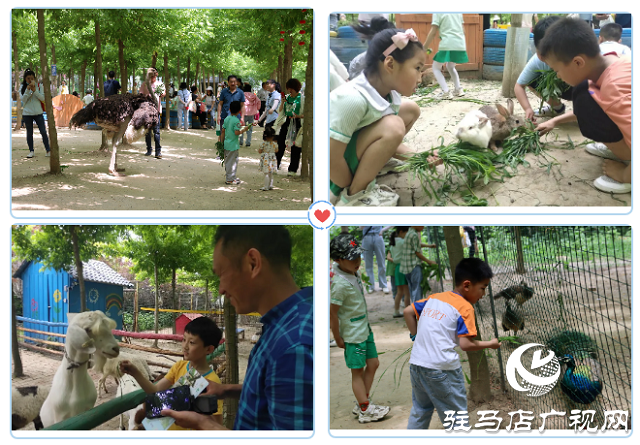 這個(gè)端午世外桃源門票免費(fèi)送！門票還包含水上樂園！