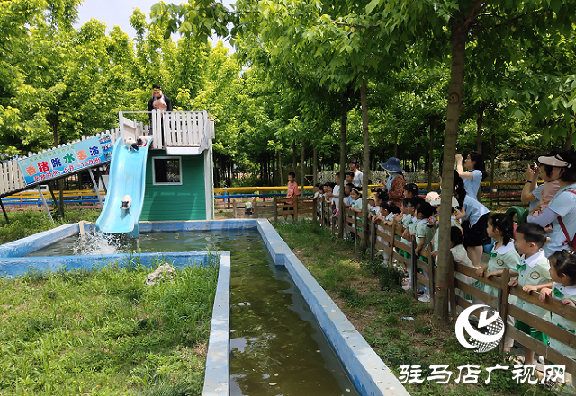這個(gè)端午世外桃源門票免費(fèi)送！門票還包含水上樂園！
