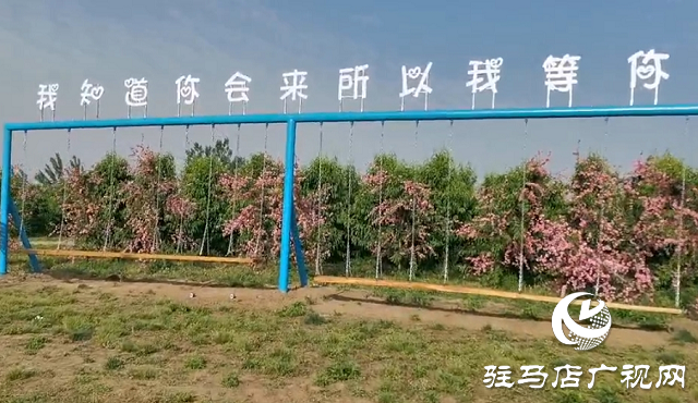 這個(gè)端午世外桃源門票免費(fèi)送！門票還包含水上樂園！