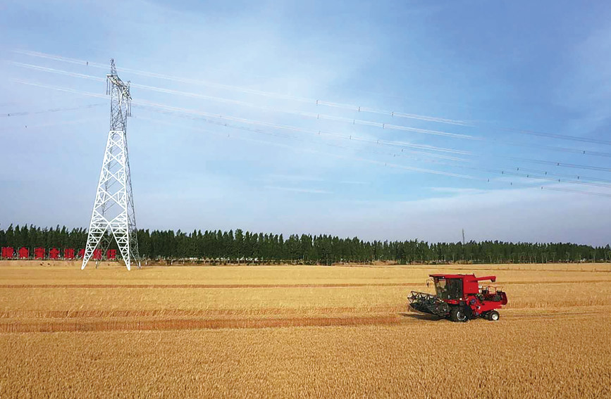 現(xiàn)代農(nóng)機(jī)“展雄風(fēng)” 確保小麥“顆粒歸倉(cāng)”