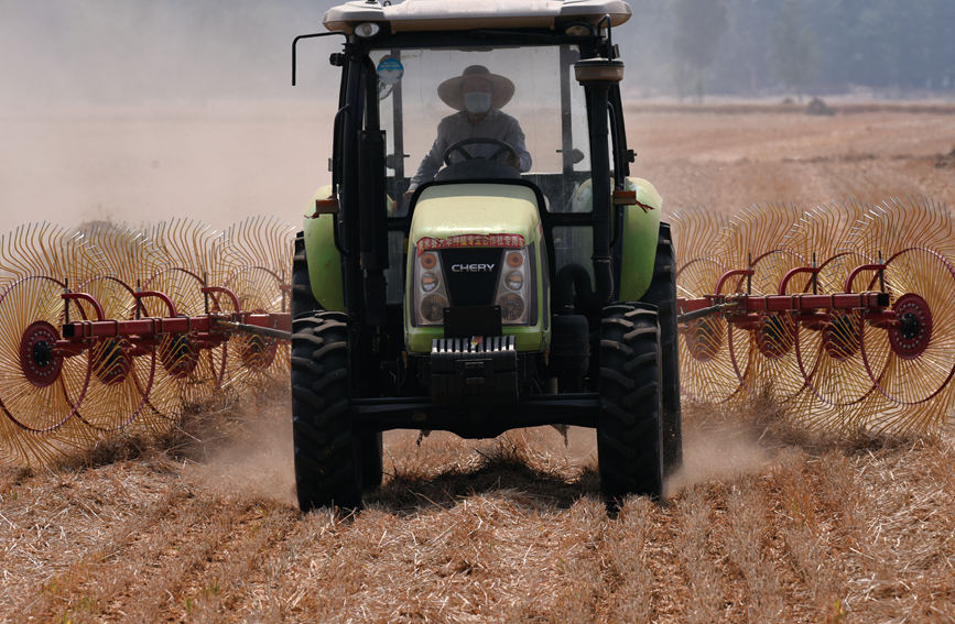 現(xiàn)代農(nóng)機(jī)“展雄風(fēng)” 確保小麥“顆粒歸倉(cāng)”