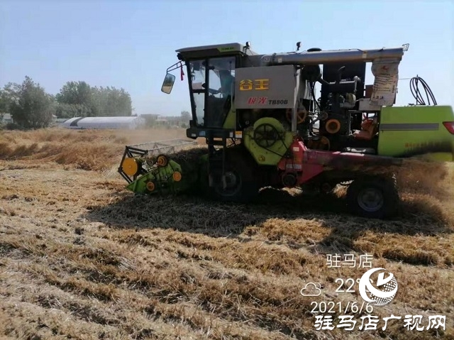 專(zhuān)家見(jiàn)證：麥?zhǔn)鞂毚箫@神威，畝均增產(chǎn)220斤！