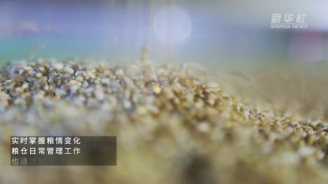 大國(guó)糧倉(cāng)的三種“色彩”