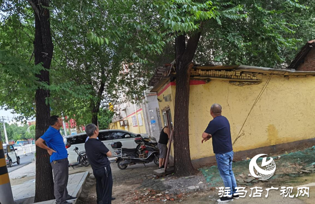 駐馬店：大樹傾倒壓房屋 12345政務服務熱線及時排險情