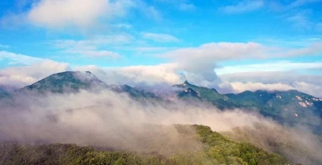 “市”外有桃園，宜陽(yáng)花果山，遛娃首選點(diǎn)