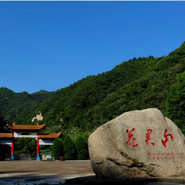 “市”外有桃園，宜陽花果山，遛娃首選點