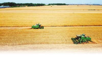 豐收！河南夏糧總產(chǎn)量760.64億斤