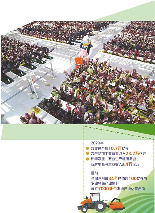 “鏈主企業(yè)”在田間拔節(jié)成長(zhǎng)