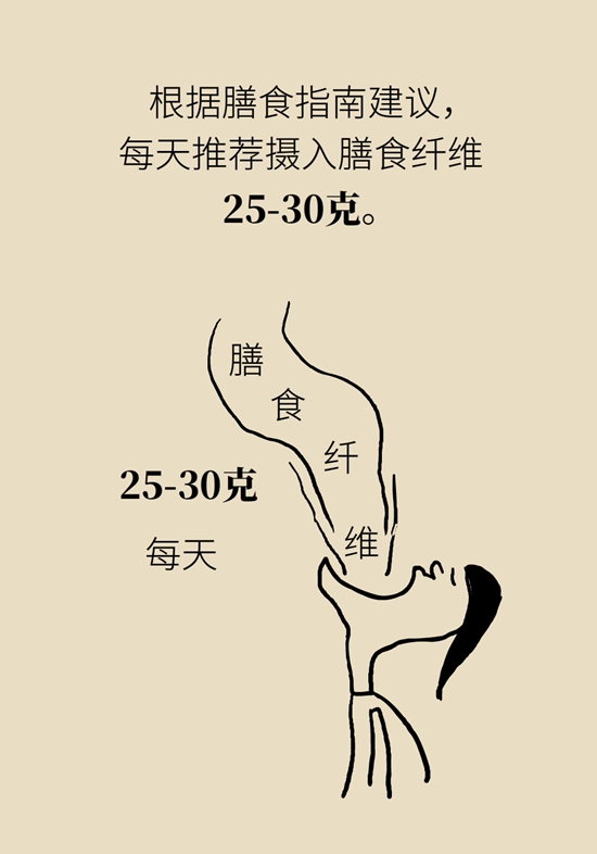 真的有越吃越瘦的食物？這些高纖維食物了解一下