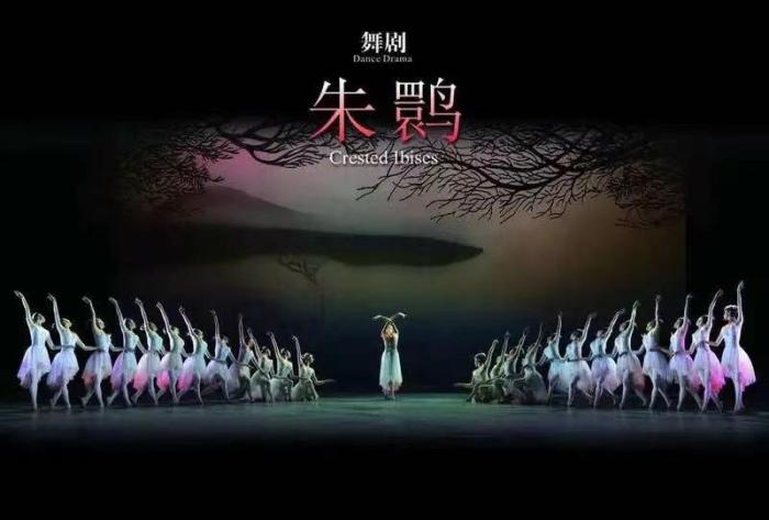 現(xiàn)象級(jí)舞劇如何產(chǎn)生？上海歌舞團(tuán)團(tuán)長(zhǎng)：對(duì)創(chuàng)排是“慎之又慎，精益求精”