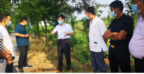 河南：汛情過(guò)后，科技支撐恢復(fù)農(nóng)業(yè)生產(chǎn)