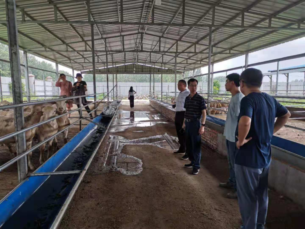 河南：汛情過(guò)后，科技支撐恢復(fù)農(nóng)業(yè)生產(chǎn)