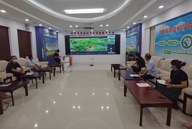 河南：云端“診斷”開(kāi)“處方”，災(zāi)后復(fù)產(chǎn)技術(shù)到田間