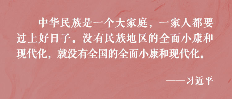 總書記傾心澆灌民族團結(jié)進步之花