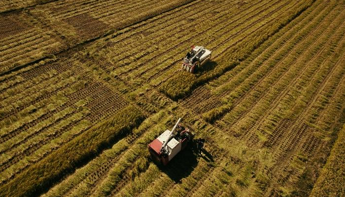 100個項目入圍河南省高素質(zhì)農(nóng)民創(chuàng)業(yè)創(chuàng)新大賽復(fù)賽，看看都有啥特點