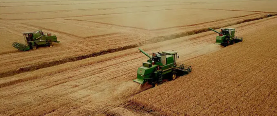 災(zāi)后生產(chǎn)自救忙　農(nóng)業(yè)科技挑大梁  河南省凝聚農(nóng)業(yè)科技力量打好保收攻堅戰(zhàn)