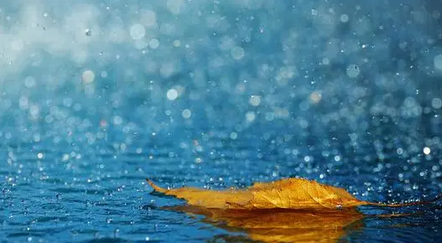 本月河南還有四輪大范圍降水！請(qǐng)注意防范