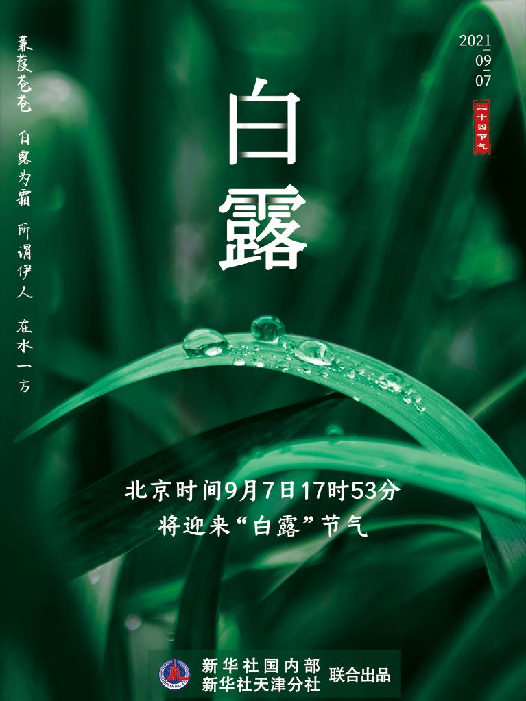 9月7日17時(shí)53分“白露”：露從今夜白，夜自此日涼