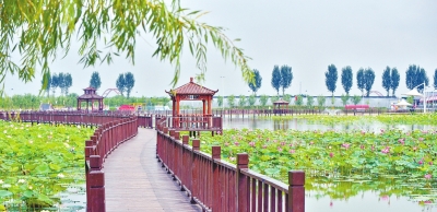 河南這些鄉(xiāng)村有了大變化！ 產(chǎn)業(yè)興、農(nóng)村美、農(nóng)民富的美麗畫卷正徐徐展開