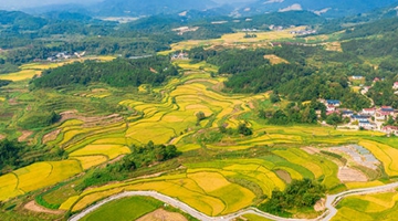 農(nóng)業(yè)農(nóng)村部等6部門(mén)聯(lián)合印發(fā)《“十四五”全國(guó)農(nóng)業(yè)綠色發(fā)展規(guī)劃》