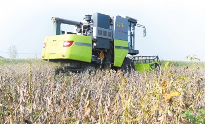 全省“三秋”農(nóng)機(jī)化生產(chǎn)現(xiàn)場(chǎng)會(huì)在郟縣舉行 智慧農(nóng)機(jī)田野炫技 減損之星現(xiàn)場(chǎng)褒獎(jiǎng) 