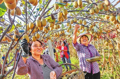 “豐收盛宴”不見(jiàn)不散　