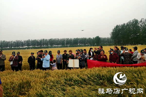 重磅！麥?zhǔn)鞂?，驚艷亮相！2020年北沃農(nóng)業(yè)再出大招！