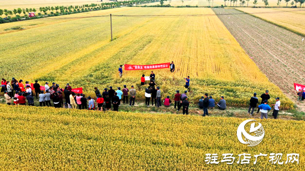 重磅！麥?zhǔn)鞂?，驚艷亮相！2020年北沃農(nóng)業(yè)再出大招！