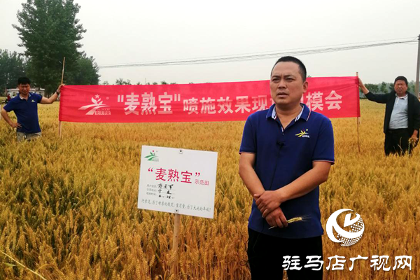 重磅！麥?zhǔn)鞂?，驚艷亮相！2020年北沃農(nóng)業(yè)再出大招！