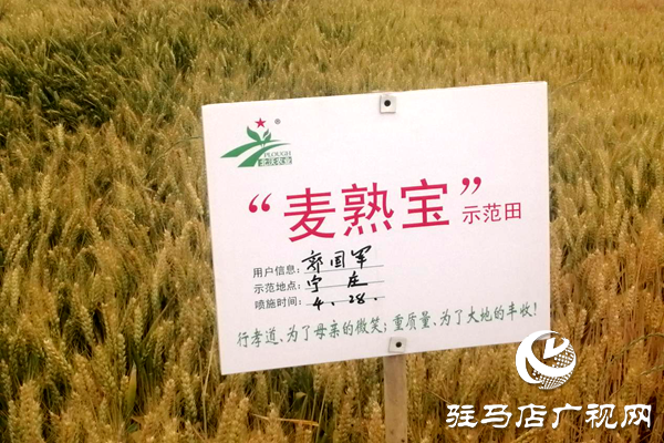 重磅！麥?zhǔn)鞂殻@艷亮相！2020年北沃農(nóng)業(yè)再出大招！