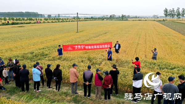 重磅！麥?zhǔn)鞂殻@艷亮相！2020年北沃農(nóng)業(yè)再出大招！