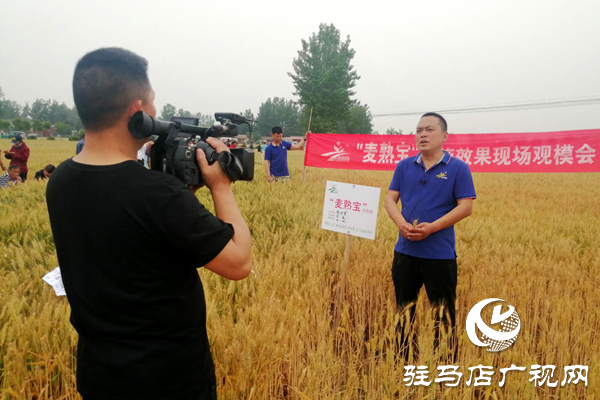 重磅！麥?zhǔn)鞂?，驚艷亮相！2020年北沃農(nóng)業(yè)再出大招！
