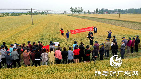 重磅！麥?zhǔn)鞂殻@艷亮相！2020年北沃農(nóng)業(yè)再出大招！