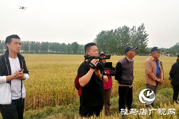 重磅！麥?zhǔn)鞂?，驚艷亮相！2020年北沃農(nóng)業(yè)再出大招！