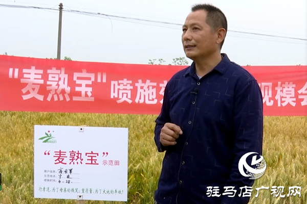 重磅！麥?zhǔn)鞂殻@艷亮相！2020年北沃農(nóng)業(yè)再出大招！