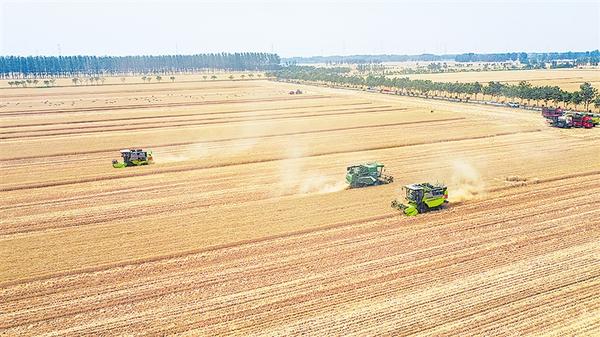 河南：培育“兩個(gè)健康”的沃土良田