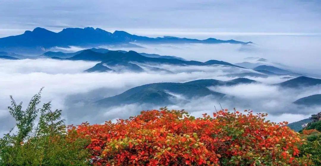 當(dāng)秋日暖陽(yáng)遇上爛漫紅葉，嵩山美得像畫(huà)！