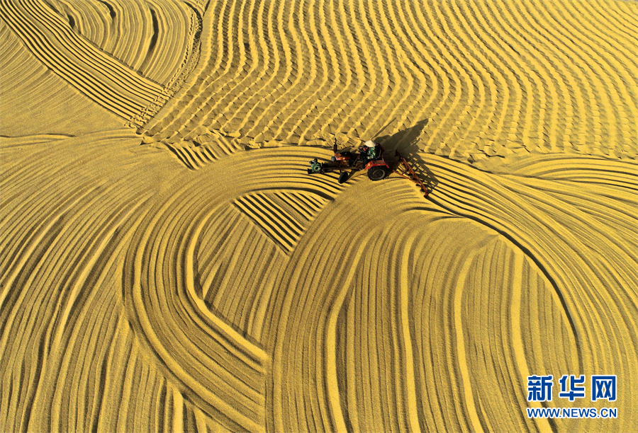 【“飛閱”中國】豐收的畫卷，真美！