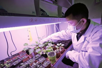 探秘省部共建小麥玉米作物學(xué)國家重點實驗室